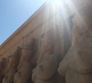 Hatshepsut 