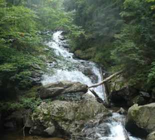 Wasserfall-Tour: bei den Rißlochwasserfällen