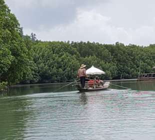 Auf dem Boot durch den Mangrovenwald
