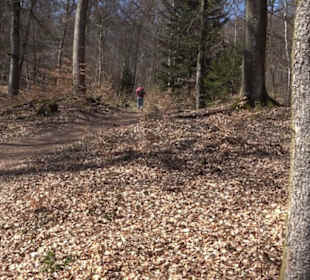 Geologischer Lehrpfad Kirnbachtal