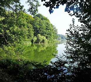 Rundgang durch den Harburger Stadtpark