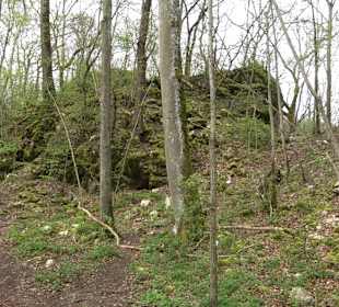Ruine Monsberg