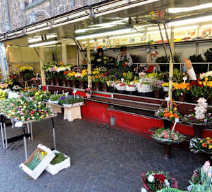 Eindrücke vom Bremer Blumenmarkt
