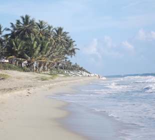 Strand