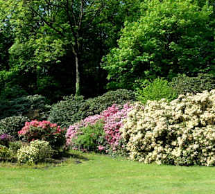 Panorama der Schaugartenanlage