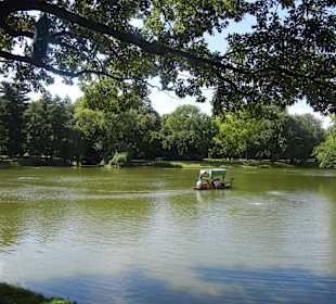 Lazienki Park