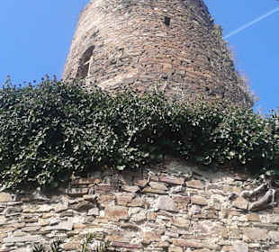 Die Burg