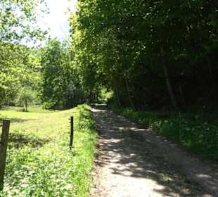 Wiesaztal Gönningen