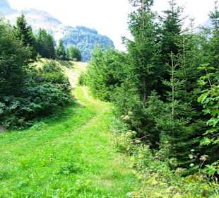 Berge um den Grünsee