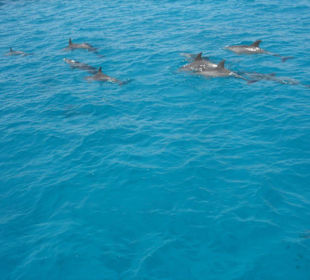 Wunderschöner Ausflug mit SimSim Reisen