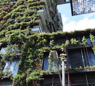 Mit dem Hop-on hop-off Bus in Sydney unterwegs