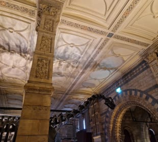 Natural History Museum