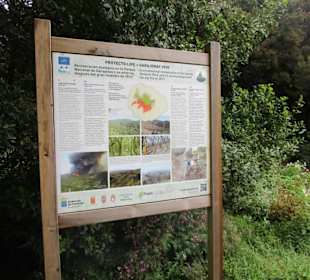  Besucherzentrum Nationalpark Garajonay