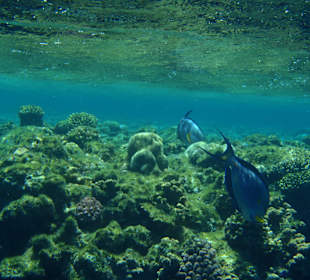 Dlatego warto tam jechać