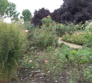 Rosengarten
