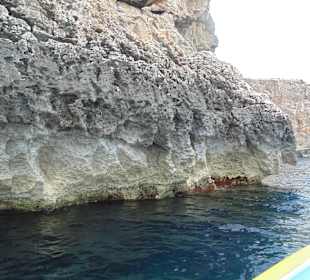 Jasknie Morskie Blue Grotto