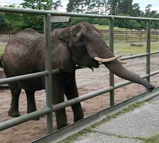 Serengeti Park Hodenhagen