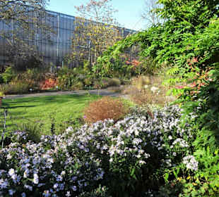 Rundgang durch den Botanischen Garten Hamburg