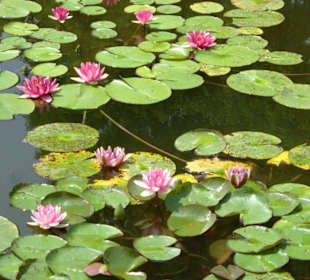 Sigurta Parco Giardino