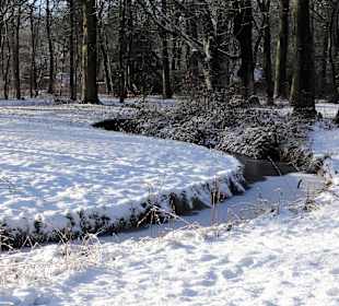 Winterspaziergang durch den Bürgerpark