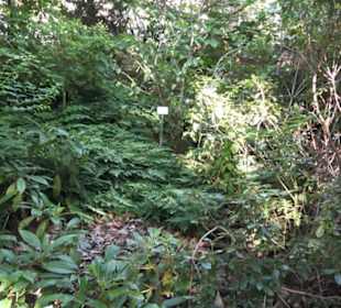 Botanischer Garten