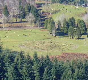 Blick vom Pico Cruzes nach Feiteiras (Schafweide)
