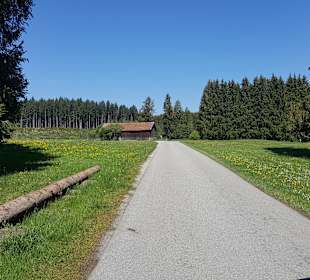 Wandern Schwangau
