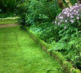 Palheiro Gardens