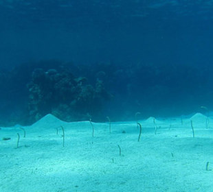 Sandfläche vor dem Riff
