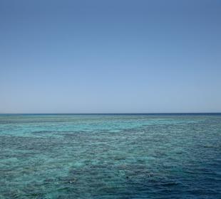 Schnorcheltour "Delphinhouse"