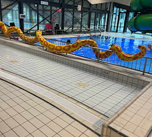 Schwimm- und Sportzentrum De Koekoek