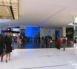 Eingang zum Aquarium