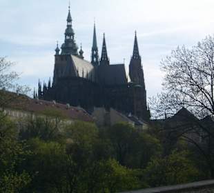 Zahrady Pražského Hradu