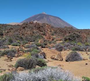  Parque Nacional del Teide