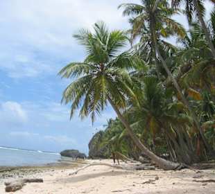 Playa Fronton (Torsten)