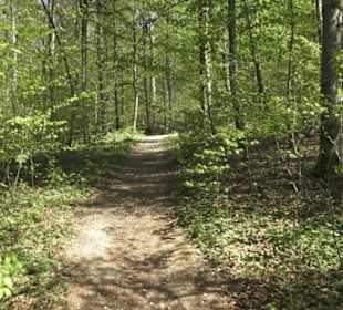 Wanderweg Hochgehwachsen