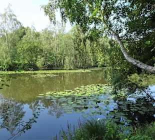 Sommer-Impressionen aus dem Park Links der Weser