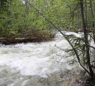 ....Wanderung am trail mit reißendem Fluss!