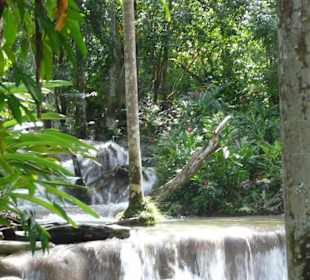 Dunn's Rivver Fall's bei Ocho's Rios