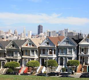 Painted Ladies