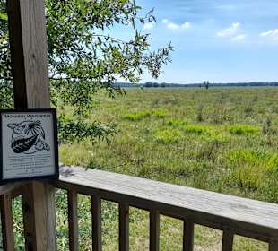 Armand Bayou Nature Center