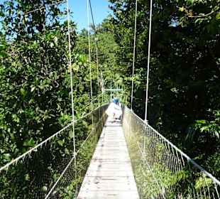 Brücke durch den Regenwald