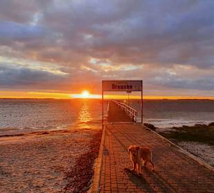 Strand Dranske auf Rügen