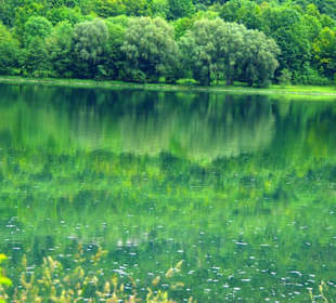 Der Stausee und seine Umgebung