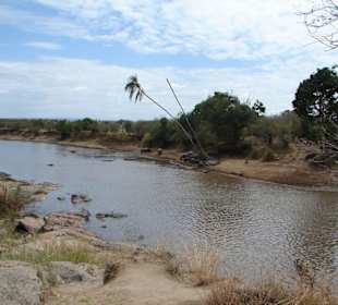 Mara River