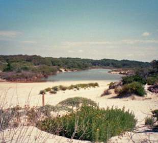 Dünenstrand Es Trenc
