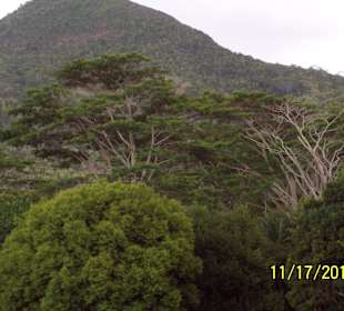 Unterwegs in Mauritius