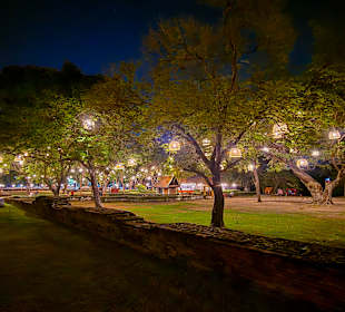 Eingangsbereich mit Baum-Lampen