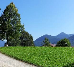 Kurpark mit Blick auf die Alpen