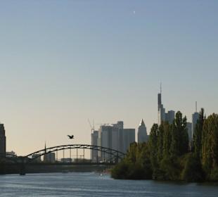 Blick von der Gerbermühle nach Frankfurt
